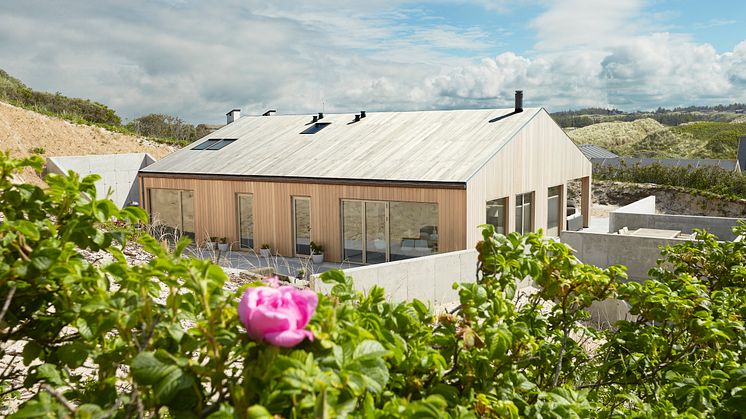 Det kompromisløse hus i cedertræ er bygget ned i klitten, så taget spiller en væsentlig rolle i husets udtryk. Arkitekt: Bønnelycke Arkitekter MDD. Entreprenør og byggeansvarlig: HP Byg.