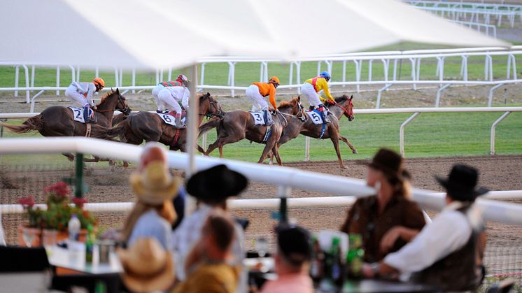 A Touch of The West på Täby Galopp 