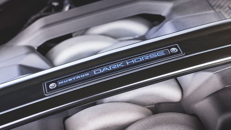 2024 FORD MUSTANG DARK HORSE (25)