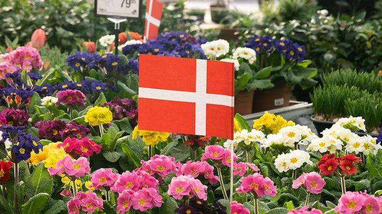Plantorama fejrer 35-års fødselsdag over hele landet