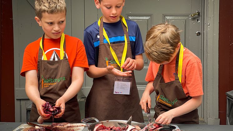Det fantastiske havet – sommerskole på Geitmyra 