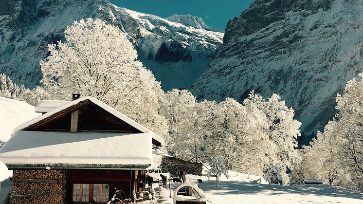 Alphütte Grindelwald 