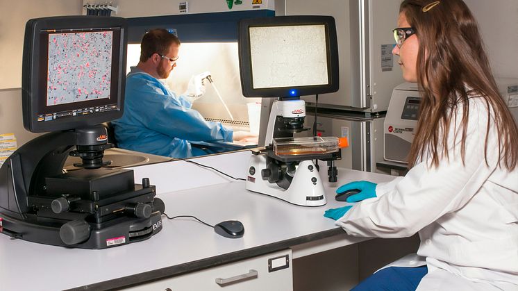 Region Stockholm är först ut i landet med lungcancerscreening. Rökande kvinnor ingår i pilotstudien som utförs vid Karolinska universitetssjukhuset i Solna. Foto: Unsplash (bilden har inget med texten att göra)