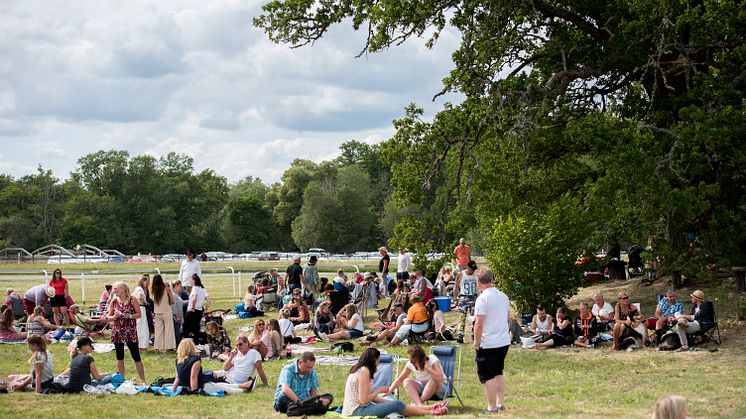 Picknick på Strömsholm