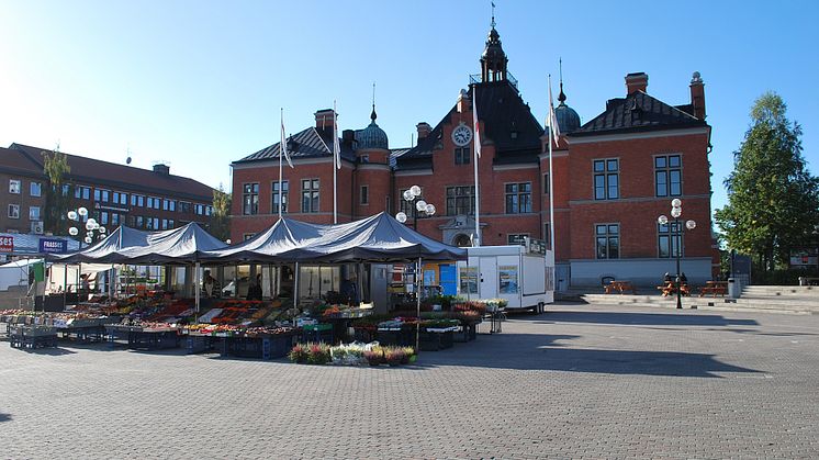 Självplock av munksten på Rådhustorget 7 juni