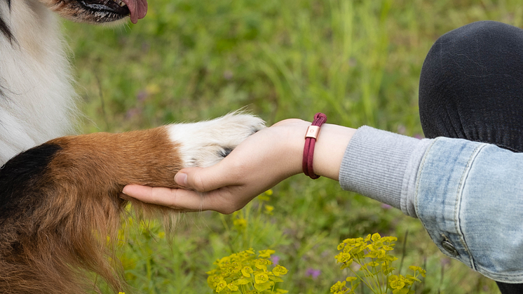 Die jährliche Kundenspendenaktion der Fressnapf-Initiative "Tierisch engagiert" in elf Ländern spielt neues Rekordergebnis ein - Foto: Fressnapf Holding SE