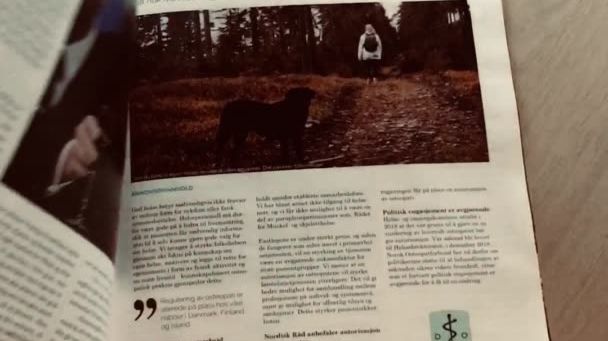 Kapital - Norsk Økonomi 2020 