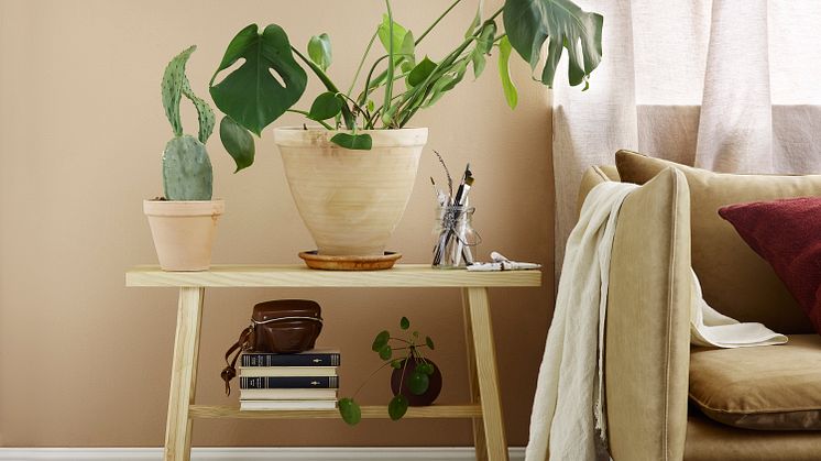 Mood Velvet Color – med känsla av sammet på väggarna