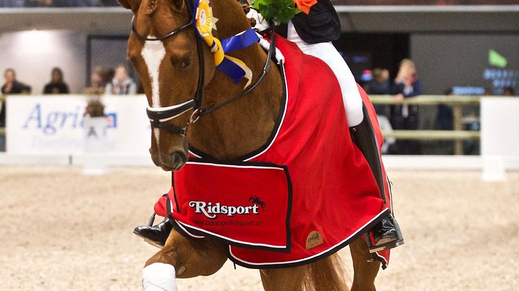 Ida-Linn Lundholm med hästen Dragon Welt rider ärevarv. Foto: Haide Westring