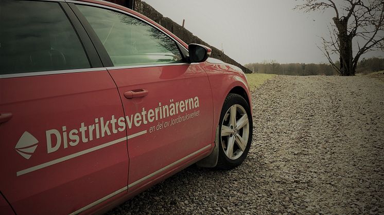 Bil på uppfart_liggande