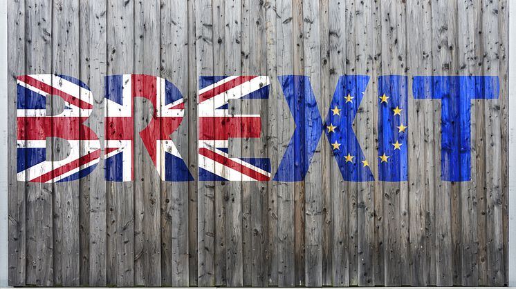 EXPERT COMMENT: Q+A: What's going on with Brexit and the Irish border?