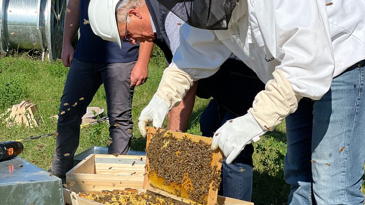 Bienenkästen_Ponholz_2