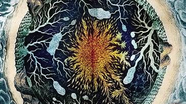 Albumomslag Telluric 