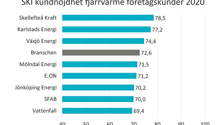 SKI fjarrvarme foretag 2020.jpg