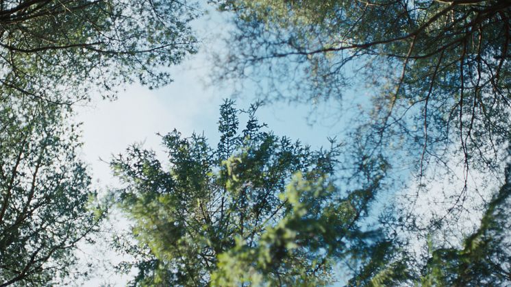 Inspired by nature