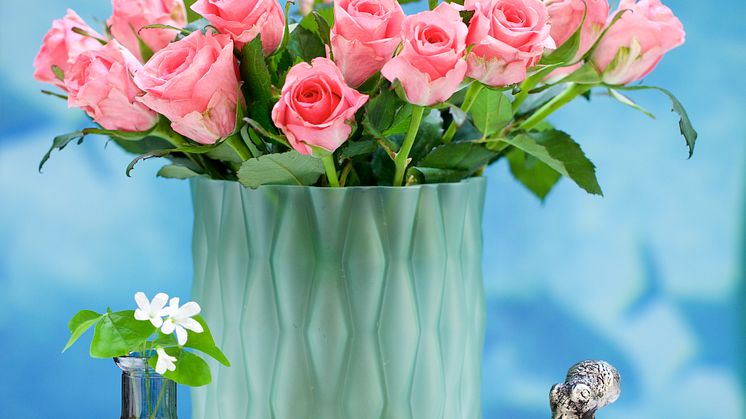 Vårens sortiment 2017 Blomsterlandet