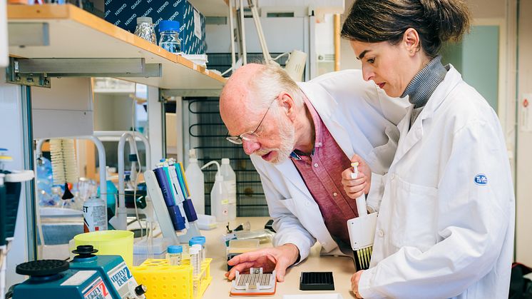 Covid-19-pandemin har gett forskarna en unik möjlighet att studera vad som händer vid en mild virusinfektion hos personer med ME/CFS jämfört med friska kontrollpersoner. Foto: Anna Nilsen/Linköpings universitet