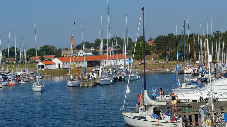 Tunø Havn.JPG