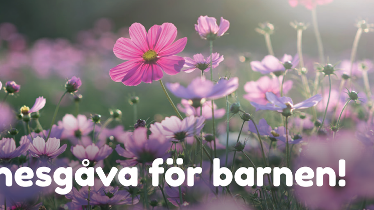Erikshjälpen Minnesgåva_248x65