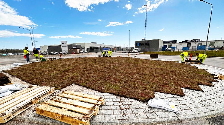Karlskrona förskönar rondeller vid infarter