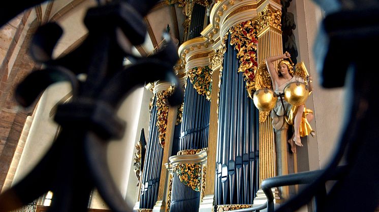 große Silbermannorgel im Dom St. Marien Freiberg /Foto:TVE Wolfgang Thieme
