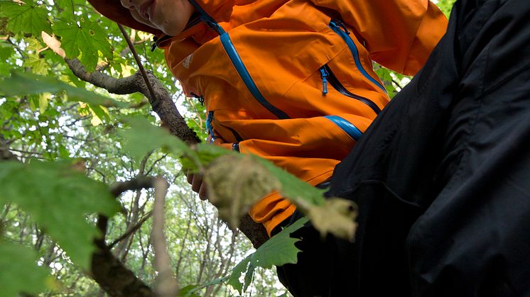 Bergans_Ervik_3_Foto_Fredrik_Schenholm