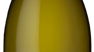 ​Nyhet 1 mars Brancott Estate Living Land Pinot Gris  Organic