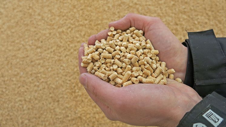 Approximately 1.7 million tonnes of pellets were produced in Sweden in 2016.