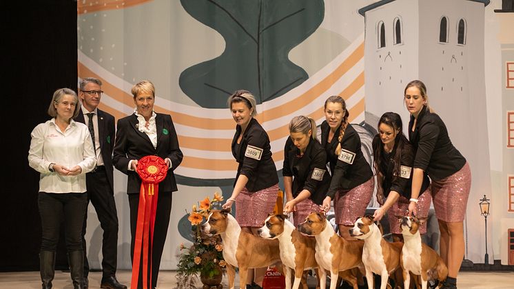 Vinnare SKKs Uppfödargrupp 2023 kennel Zicans. Foto Jenny Jurnelius.