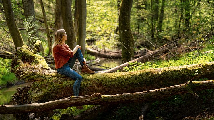 Buckow (Märkische Schweiz)_Buckow_Frau_sitzt_auf_einem_umgefallenen_Baum_in_der_Märkischen_Schweiz