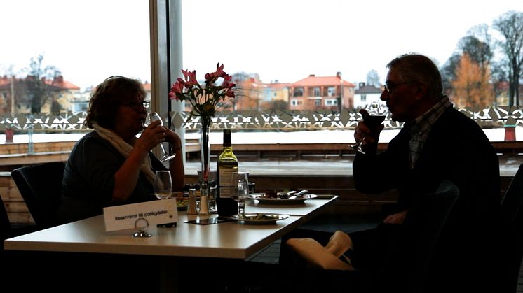 Karlstad CCC movie - Diversity