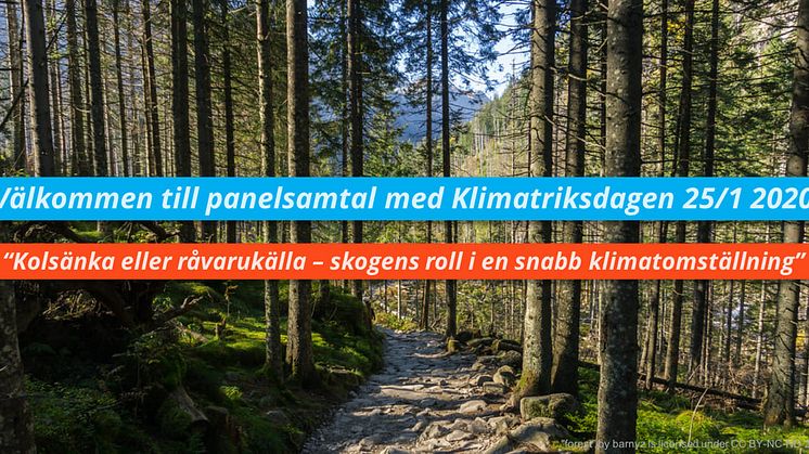 RÅVARUKÄLLA ELLER KOLSÄNKA Panelsamtal om skogens roll i en snabb klimatomställning av Sverige