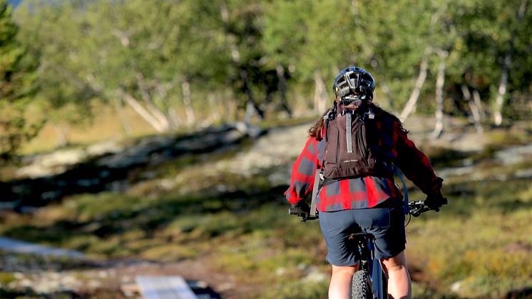 Lär dig bygga stigcykelleder