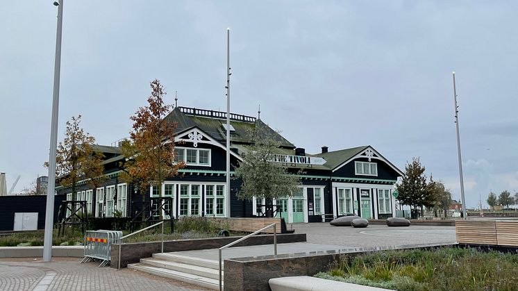 IMG_9027.jpg
