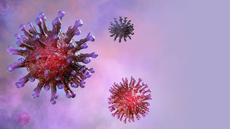 Coronavirus: Aktuelle Infos zu Schulen und Werkstätten
