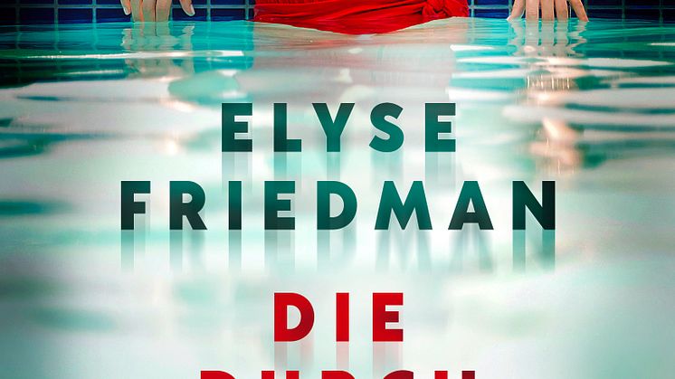 Cover_Die Durchtriebenen 2 D.jpg