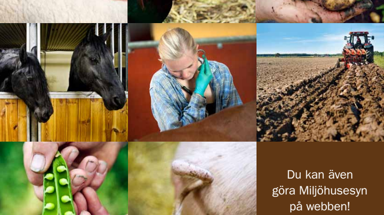 Letar du efter Hästhusesyn 2011? Då ska du ladda ner Miljöhusesyn 2011
