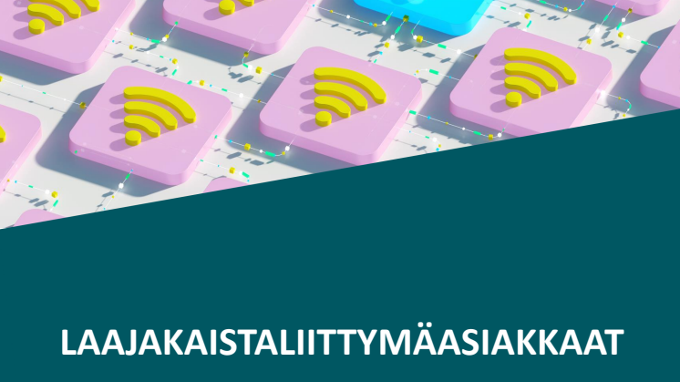 EPSI Telekommunikaatio 2024 - Laajakaista-asiakkaat, Study summary.pdf
