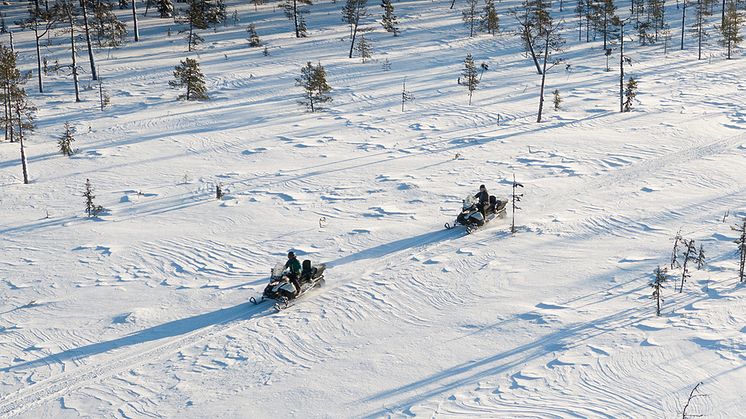 Järvsöguiderna snöskotersafari