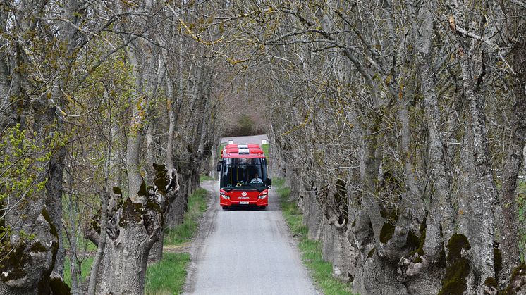 Bussar_Stockholm Nord3
