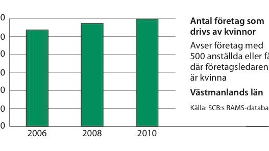 Kvinnors företagande ökar i Västmanlands län