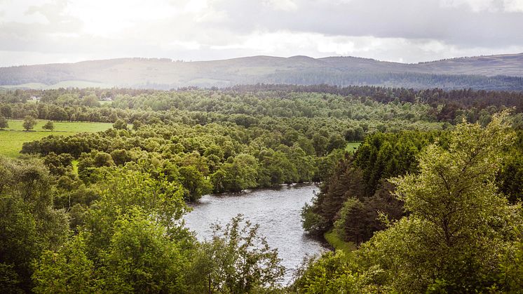 Caorunn Speyside