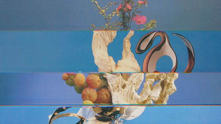 ©Nico Krijno_Lockdown Collages 2020_01.jpg