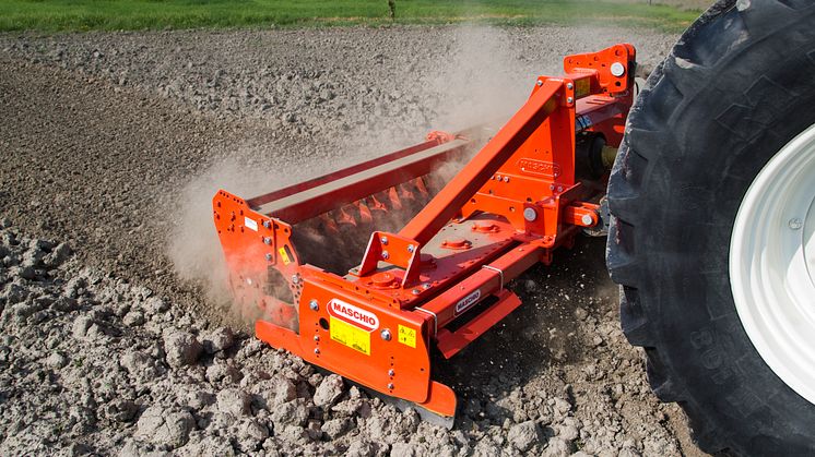 Maschio harv