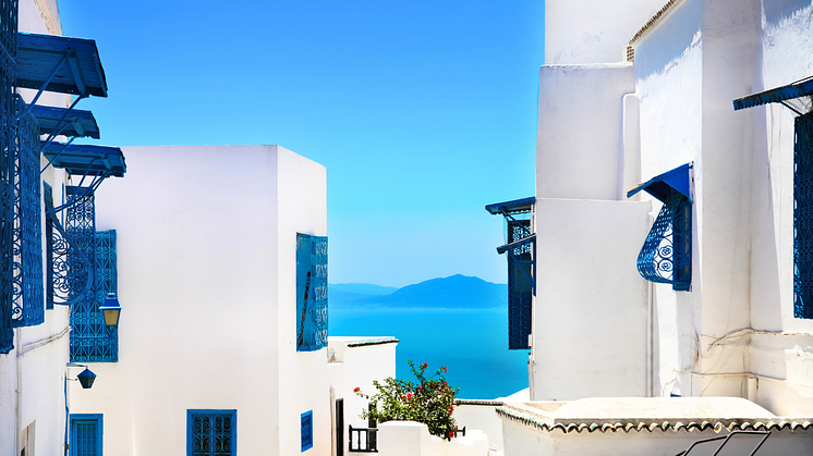 Sidi Bou Said. La Gulett, Tunisia. Foto- Petrenkod, Getty Images.png