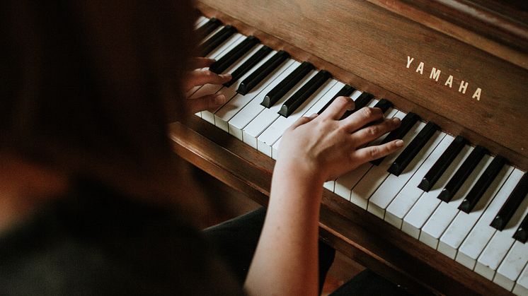 Stepnote - en nodebutik, der baner en vej for dig ind i musikken