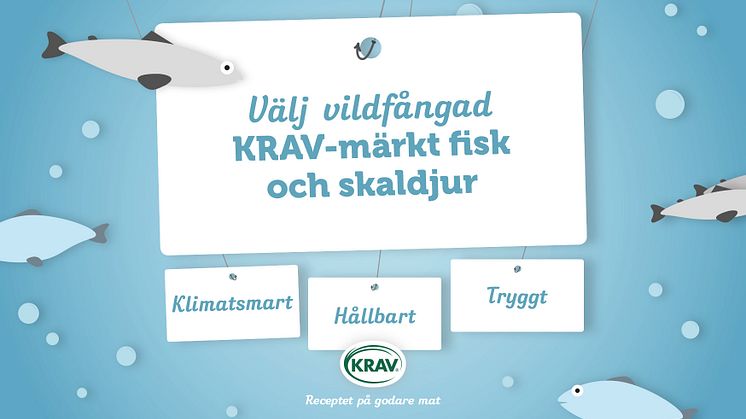Grönt ljus för KRAV-märkt fisk