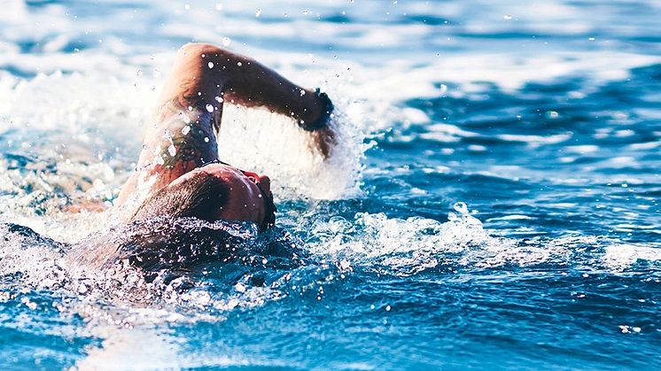 Am Samstag, 14.8. findet das 1. Lighthouse Swim – Open Water Kiel in der Kieler Förde statt.
