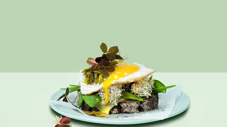 Mossmacka