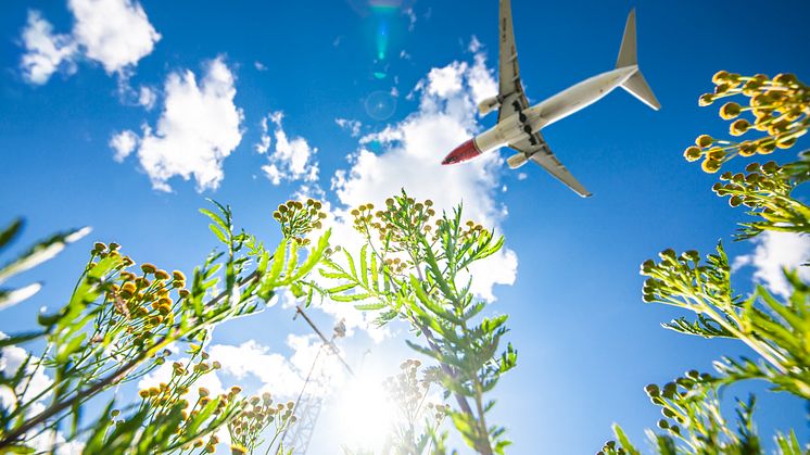 Norwegian launches new direct flight to Rhodes from £29.90 one-way
